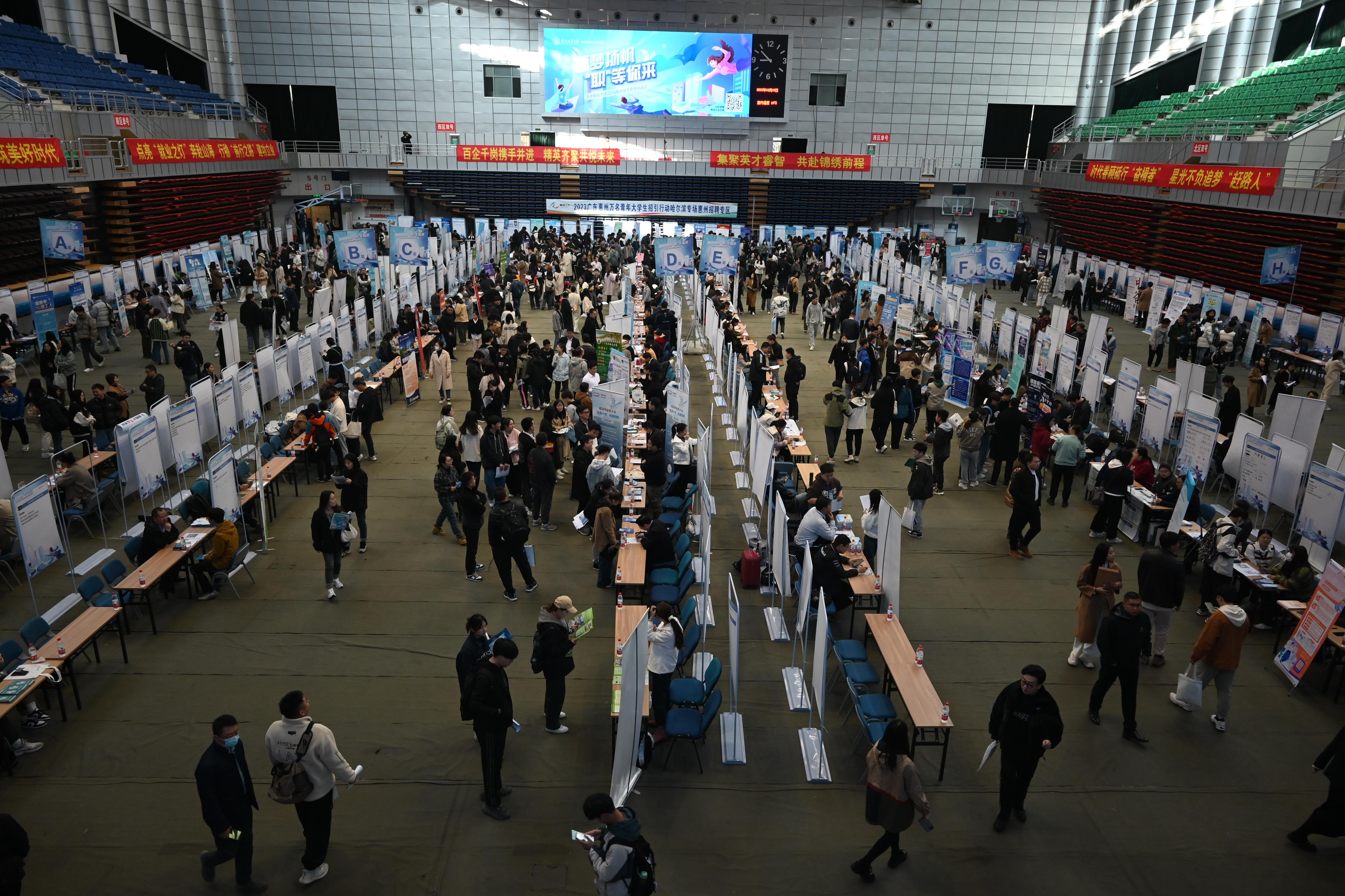 逐梦扬帆 “职”等你来—东北林业大学2024届毕业生秋季双选会-:东北林业大学-体育馆: