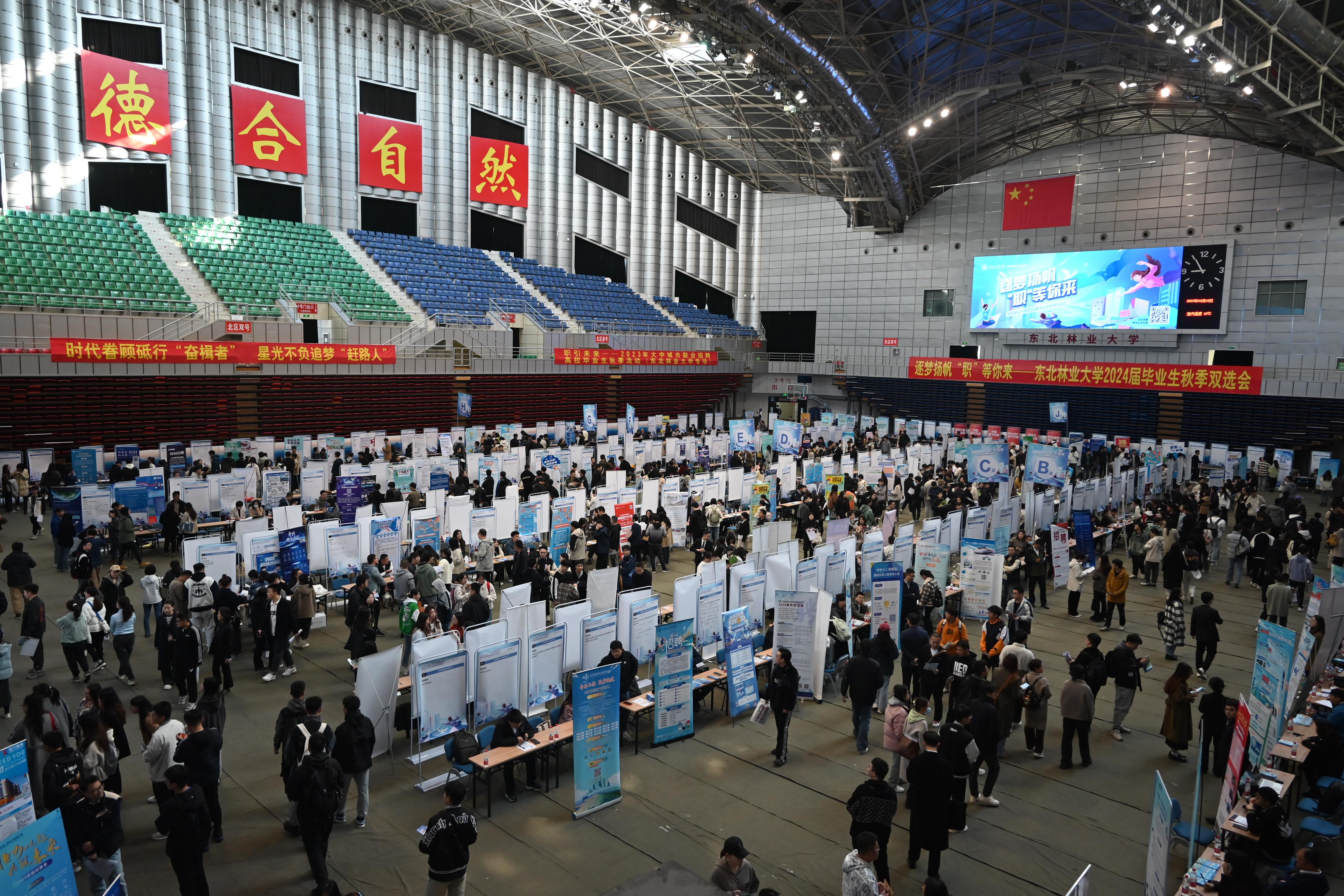 逐梦扬帆 “职”等你来—东北林业大学2024届毕业生秋季双选会-:东北林业大学-体育馆:
